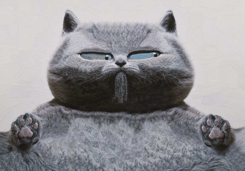 Cats, 2024, 2025 2