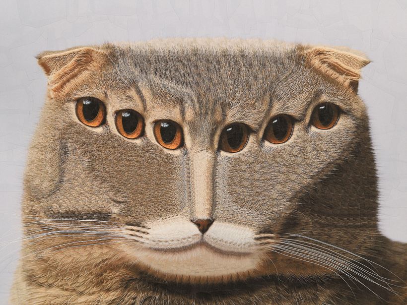 Cats, 2024, 2025 1