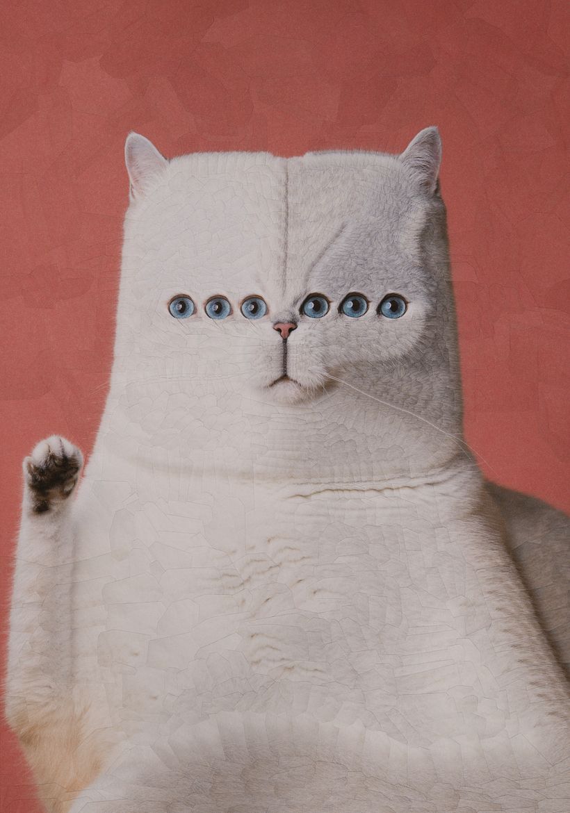 Cats, 2024, 2025 7