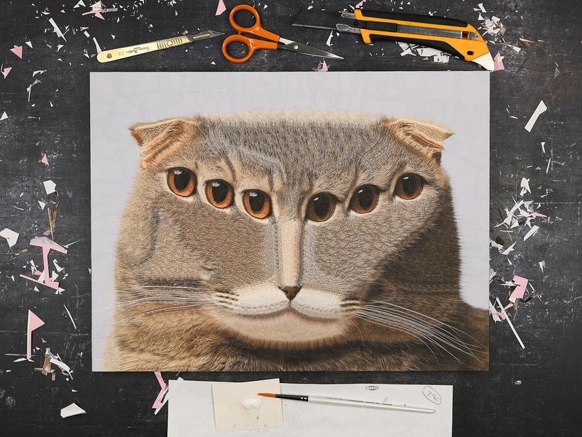 Cats, 2024, 2025 7