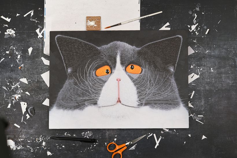 Cats, 2024, 2025 10