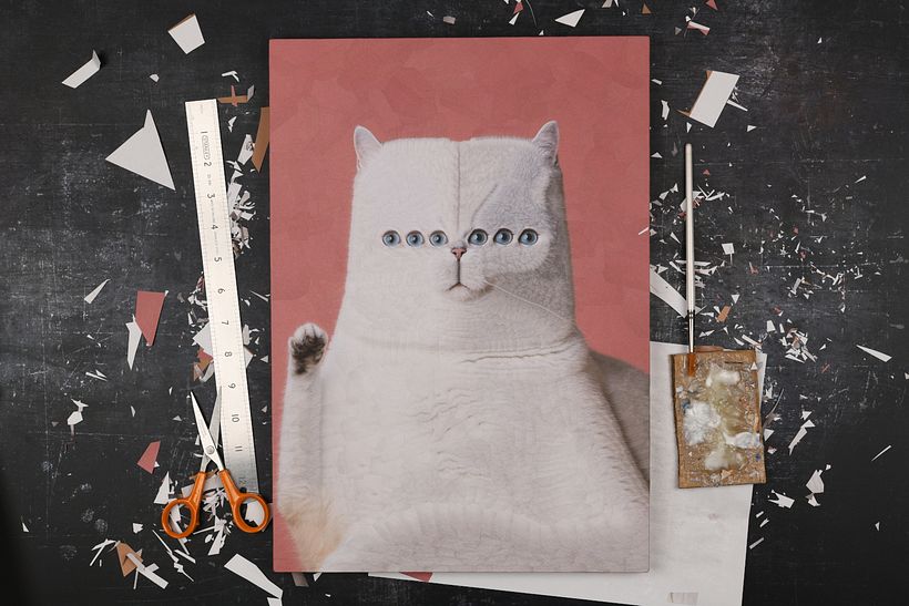 Cats, 2024, 2025 15