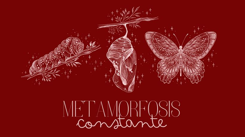 TEDX: La metamorfosis de la enfermedad 1