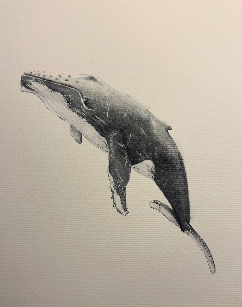 Baleias em aquarela 1