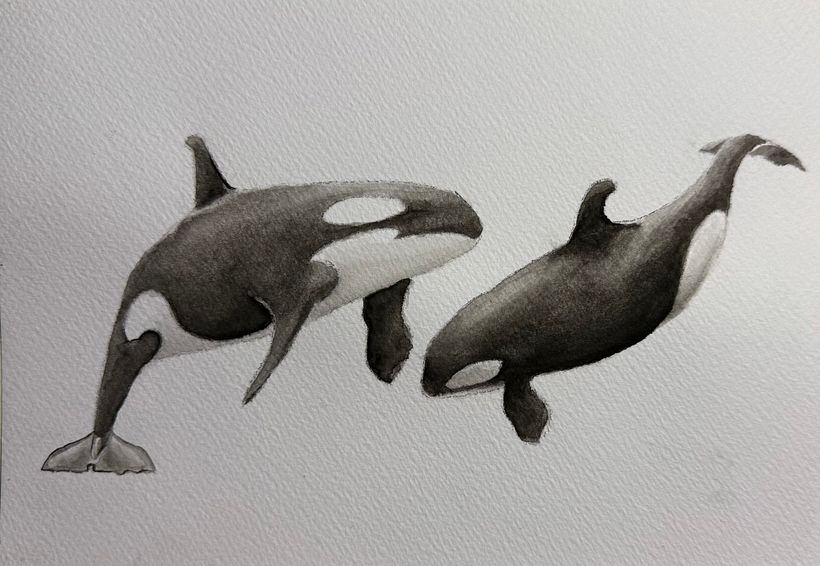 Baleias em aquarela 1