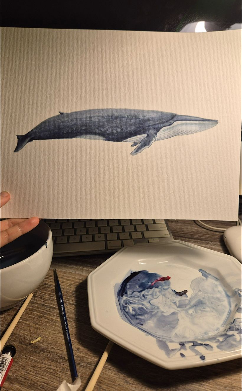 Baleias em aquarela 1