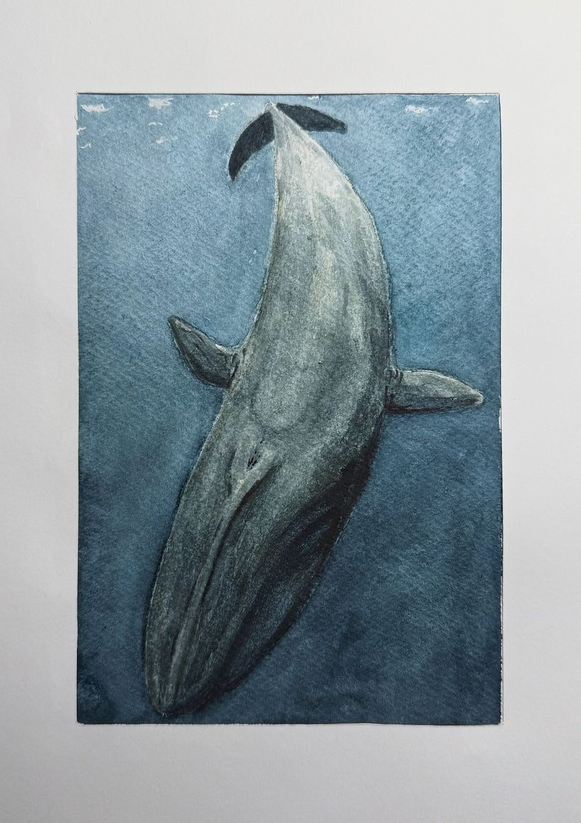 Baleias em aquarela 1