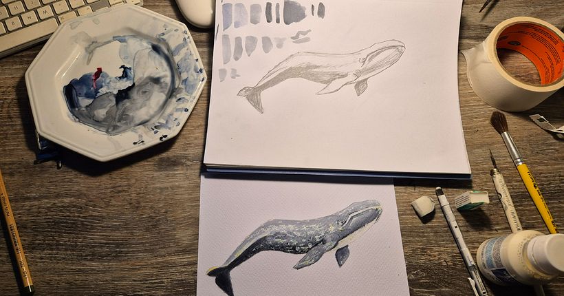 Baleias em aquarela 1
