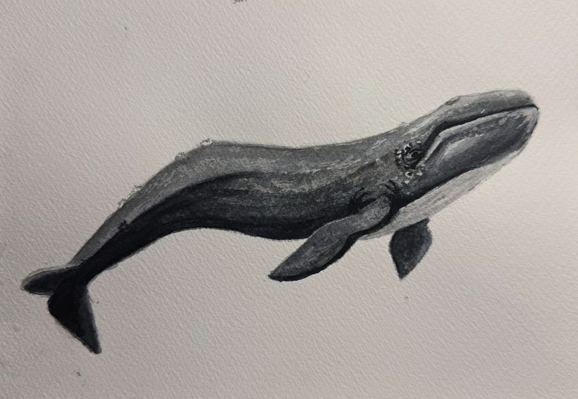 Baleias em aquarela 2