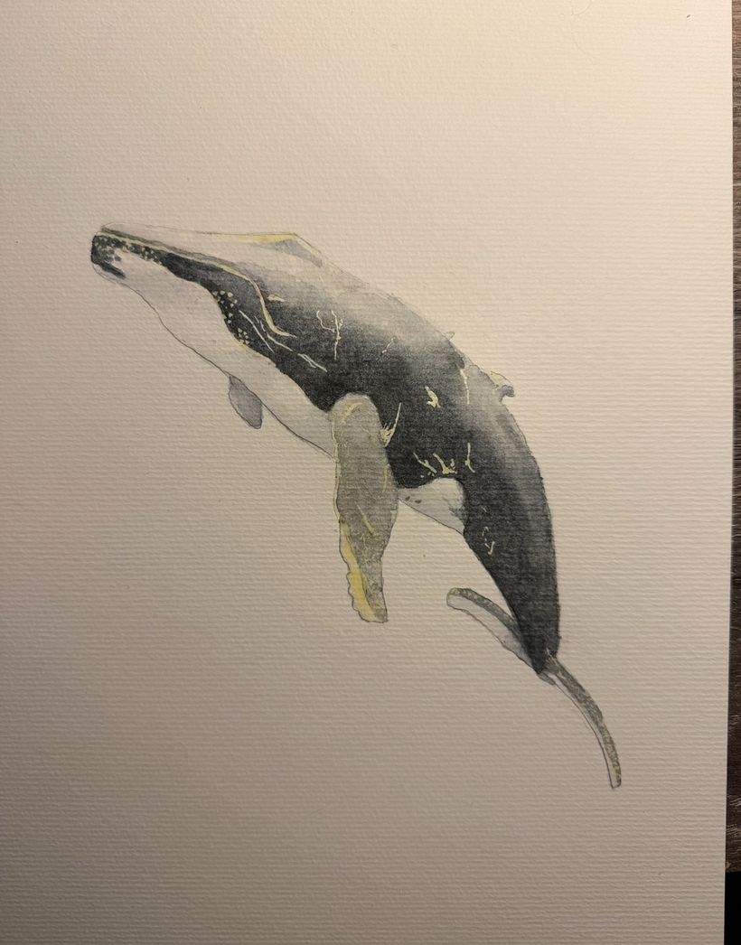 Baleias em aquarela 1