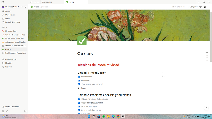 Mi evolución con Notion 1