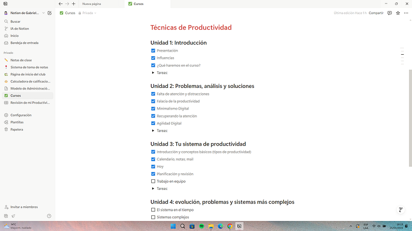 Mi evolución con Notion 2