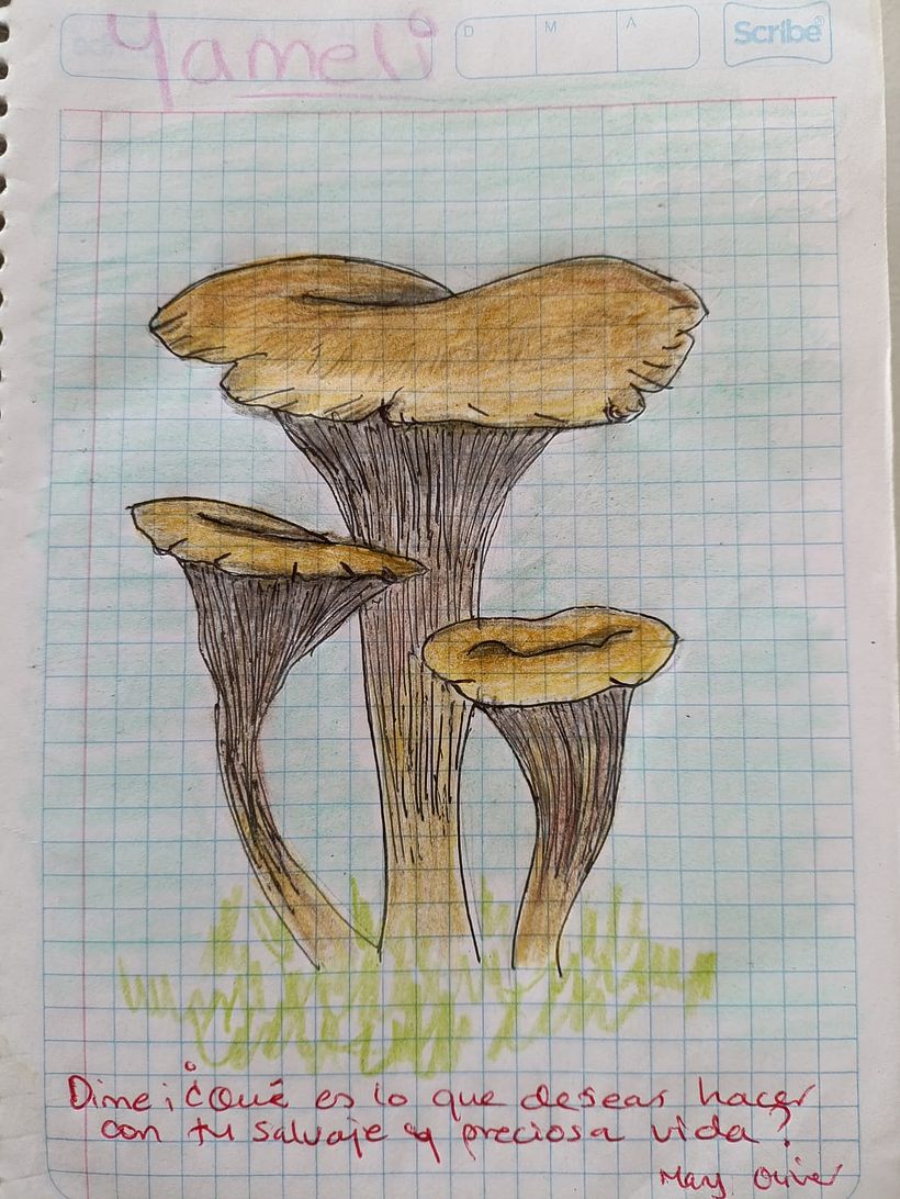 Un poco de todo... 1