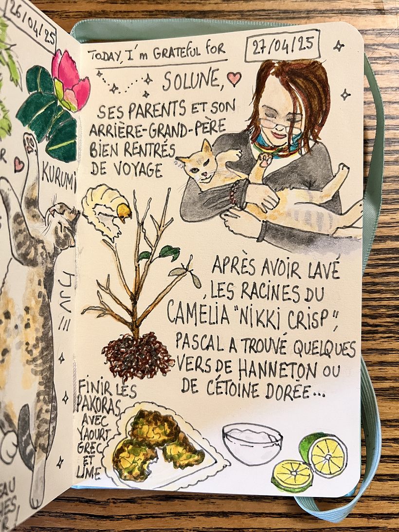 Carnet de gratitude : April 2025 sketchbook 1