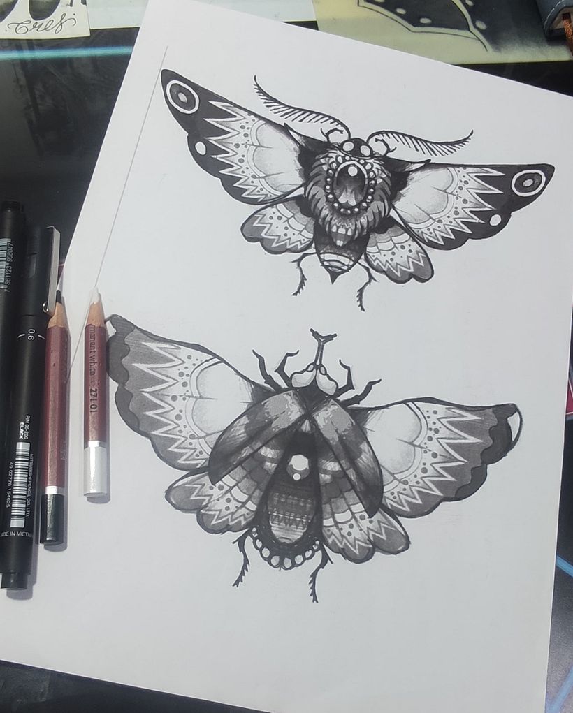Pearl Moth 1