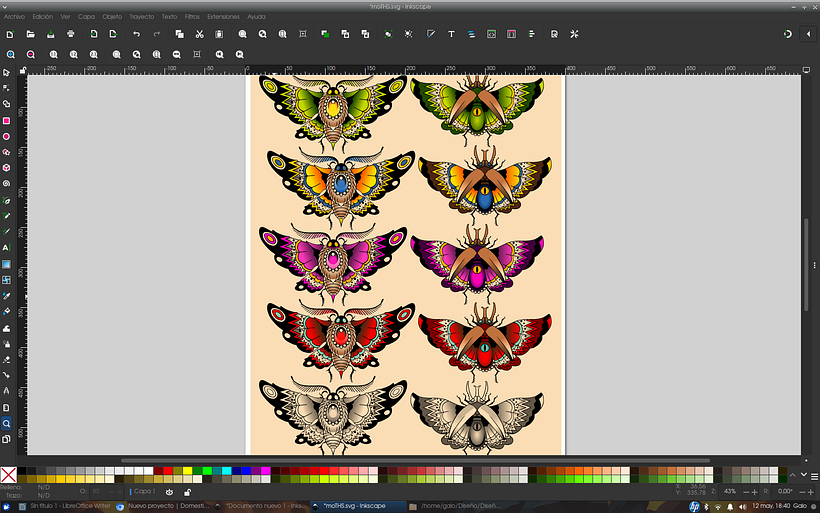 Pearl Moth 1
