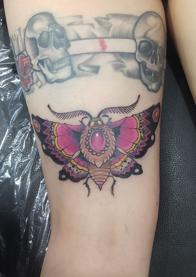Pearl Moth 3