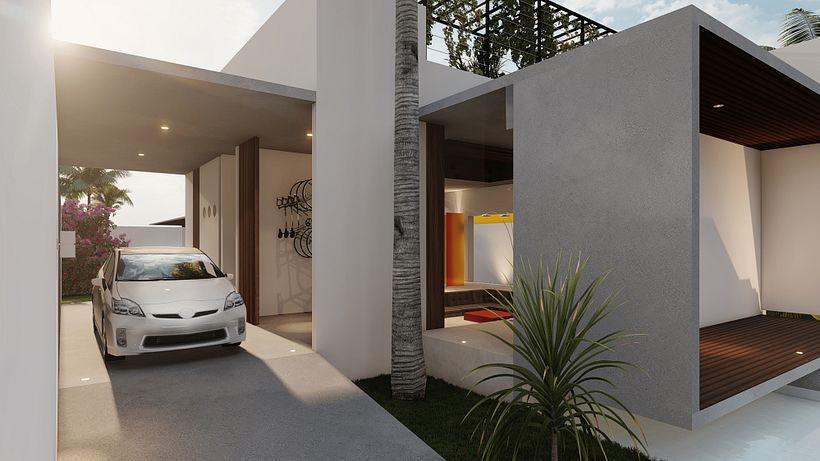 PROJECT: PALMTREE HOUSE 8