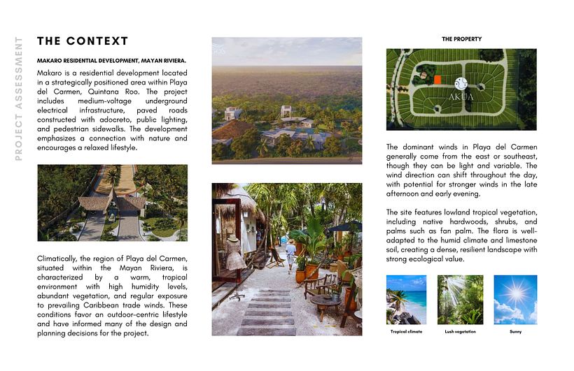 PROJECT: PALMTREE HOUSE 4