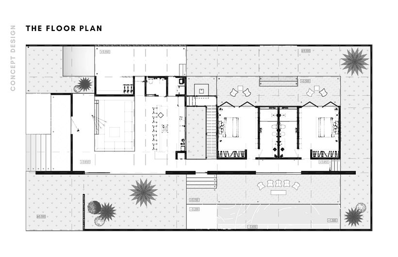 PROJECT: PALMTREE HOUSE 11