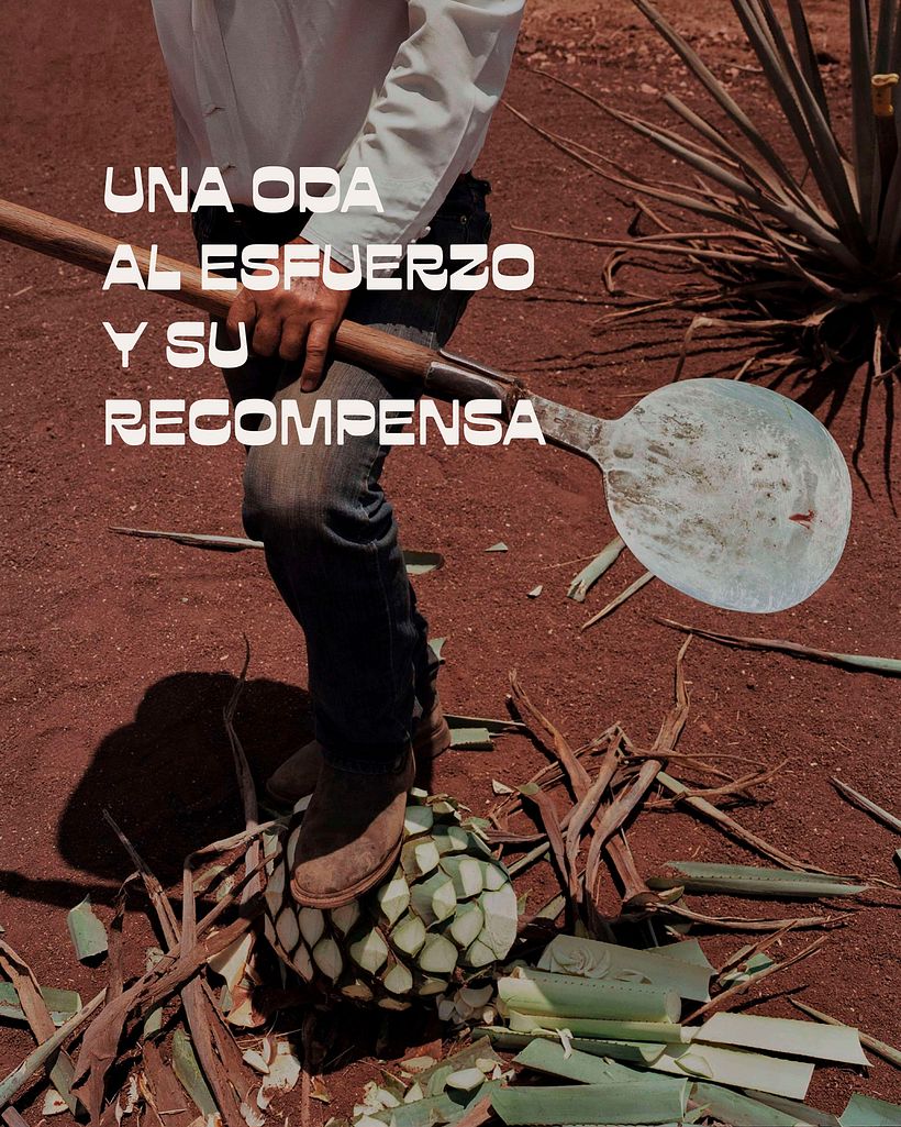 SUPRA - Mezcal 7