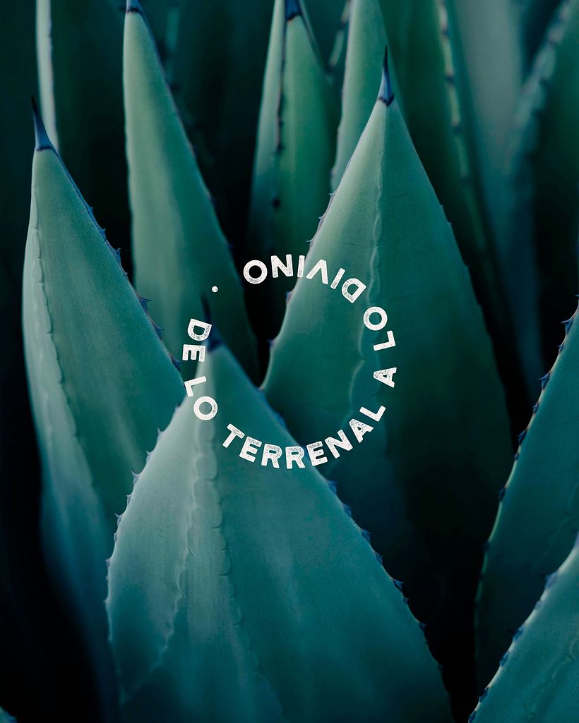 SUPRA - Mezcal 8