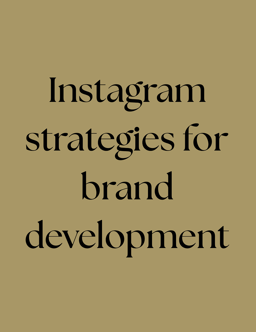 Instagram strategies for brand development 1