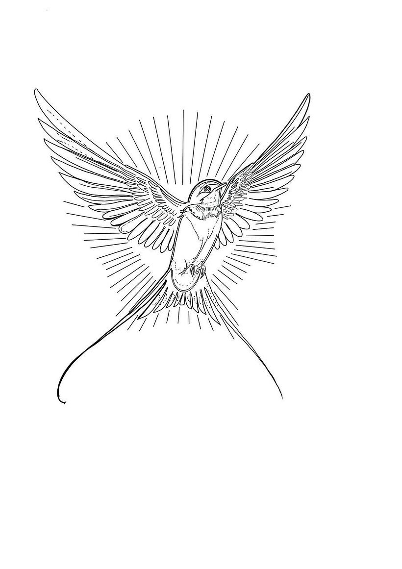 proceso fine line 1