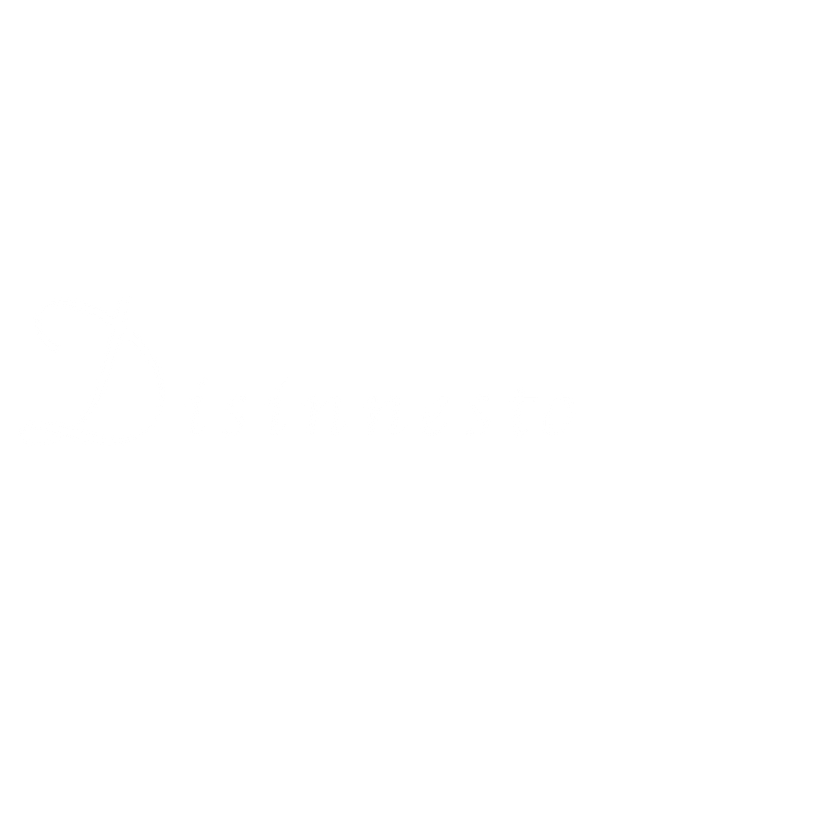 Disinnesto 1