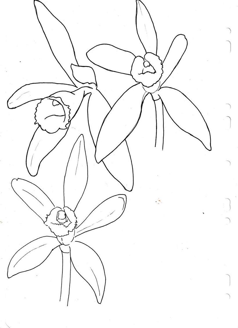 Concevoir un tatouage végétal 6