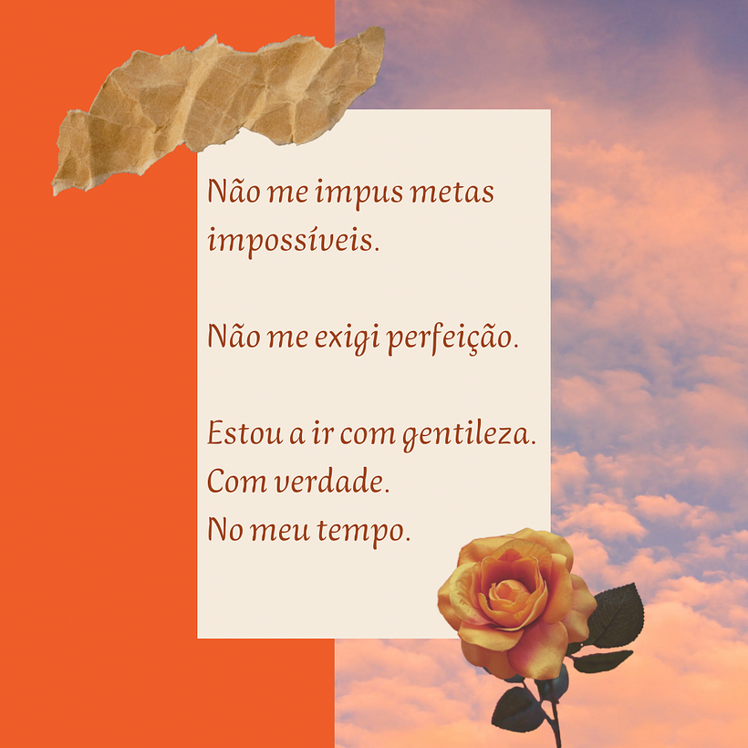 Perfil Instagram 5