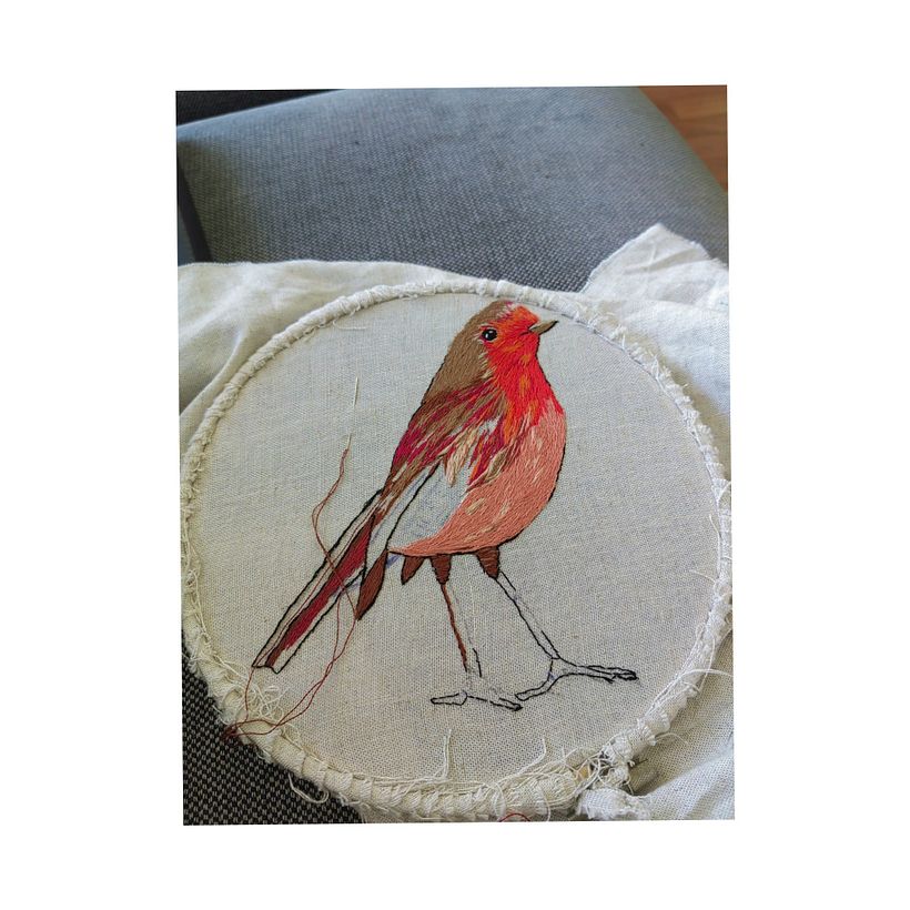 Pajarito de mil colores 1