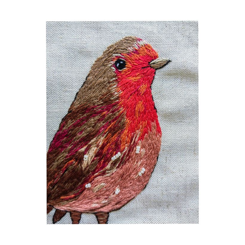 Pajarito de mil colores 4