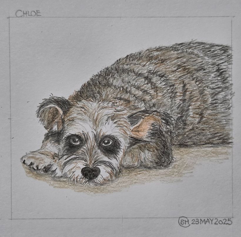 CHLOE, the dog 1