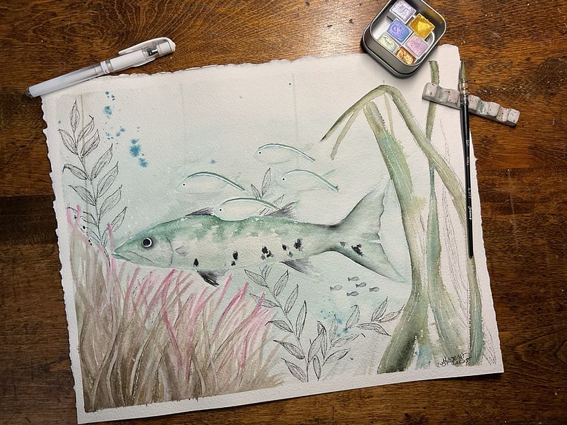 Barracuda and Friends 1