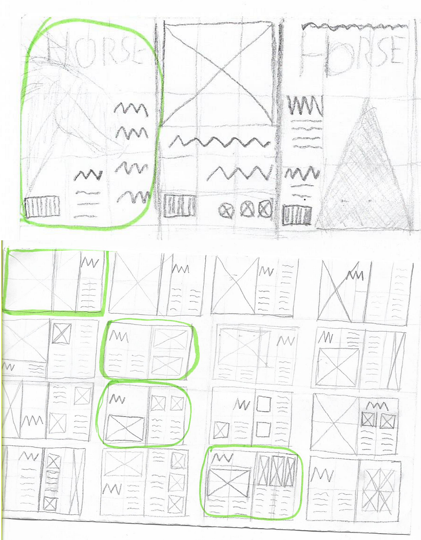 Proyecto: "Caballo, el alma libre del campo". 1