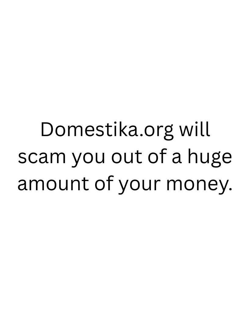 Domestika will Take your money in unauthorised payments 1