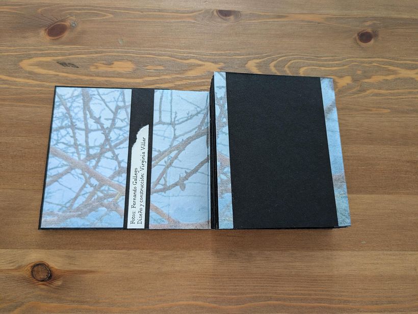 Concertina de obra gráfica 2