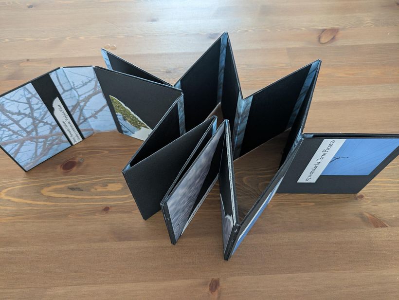 Concertina de obra gráfica 1