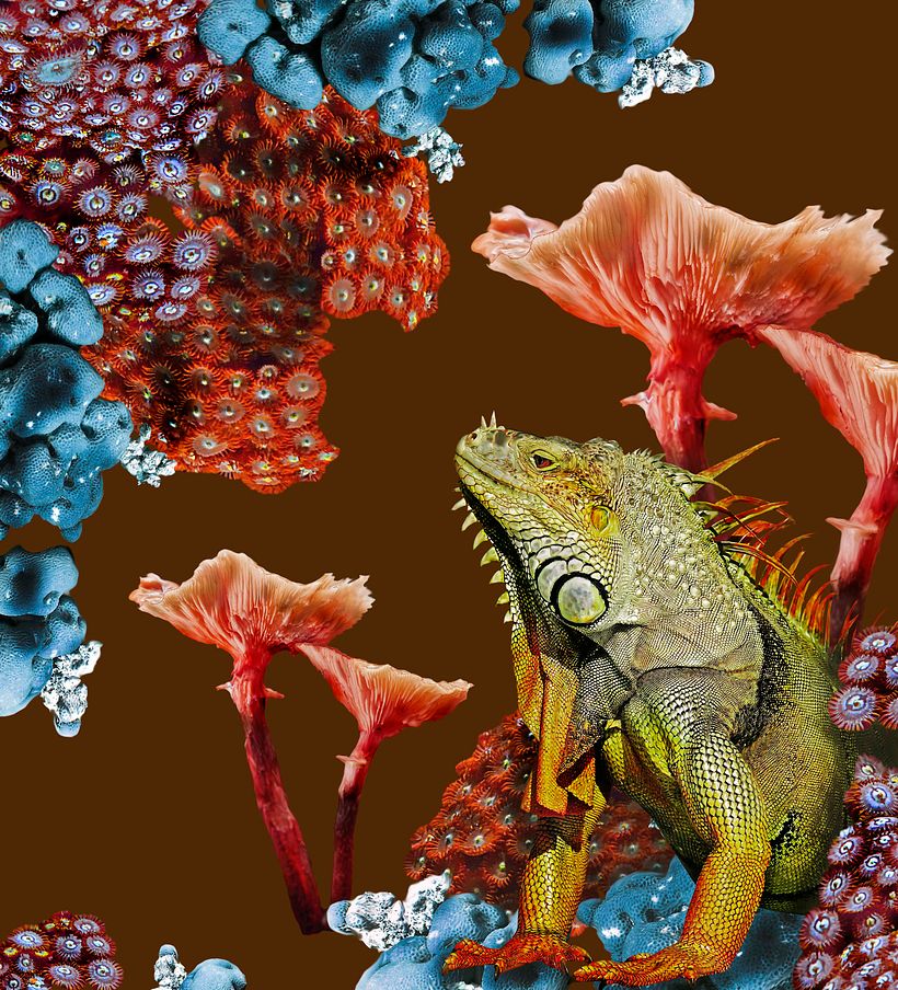 ESTAMPADO TEXTIL DIGITAL 1