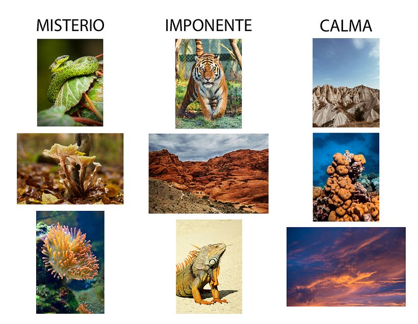 ESTAMPADO TEXTIL DIGITAL 1