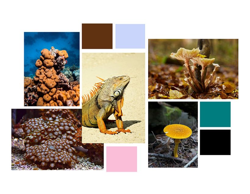 ESTAMPADO TEXTIL DIGITAL 1