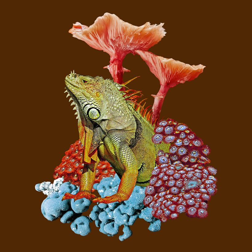 ESTAMPADO TEXTIL DIGITAL 1