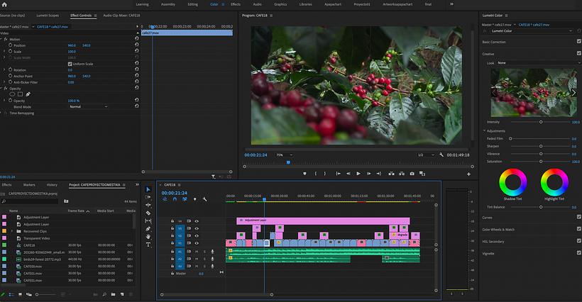 Yodito Coffee · Cafetería Yodito 2