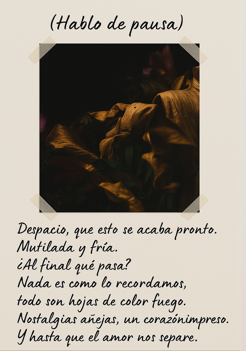 Mi proyecto final: Diario de poesía visual: narra con fotografía y versos 1