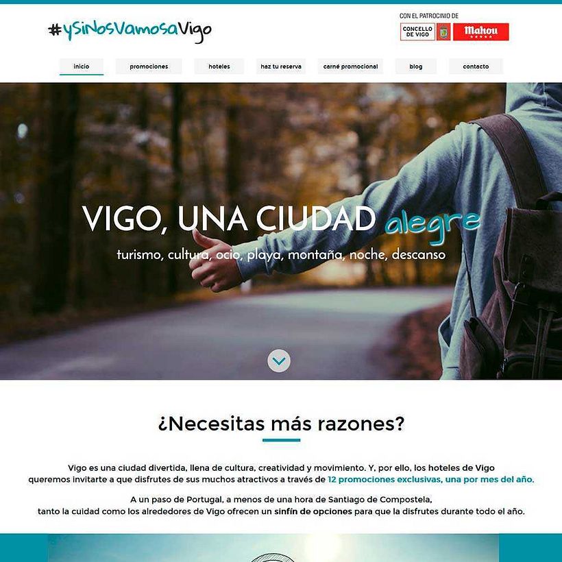 Portafolio diseño web Vigo 6