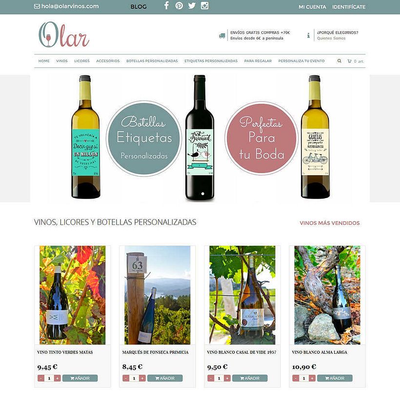 Portafolio diseño web Vigo 29