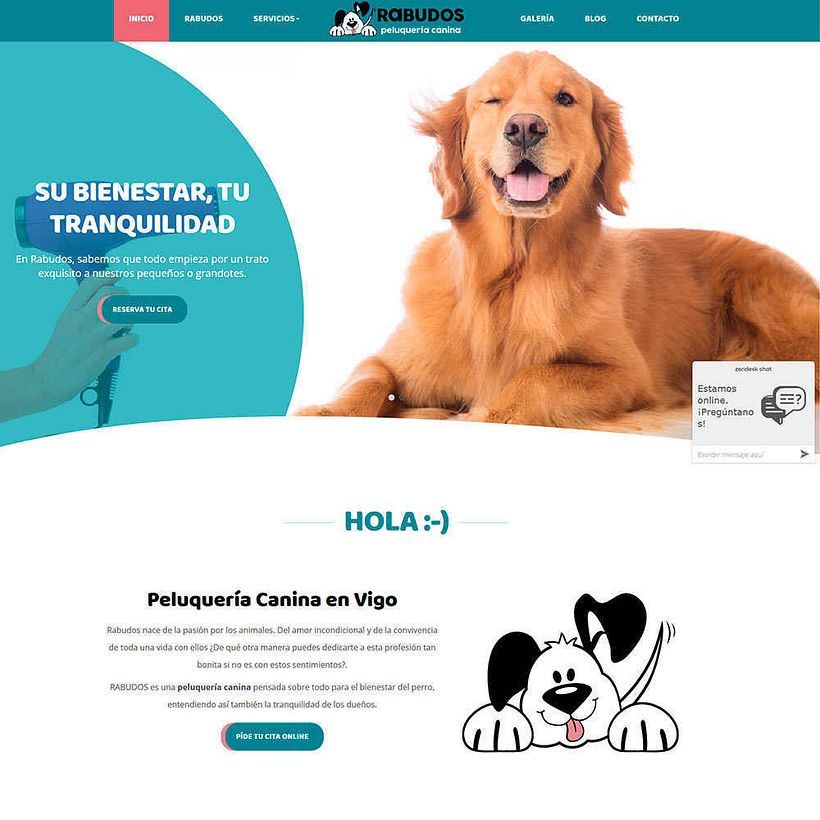 Portafolio diseño web Vigo 36