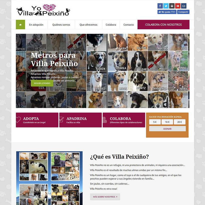 Portafolio diseño web Vigo 38