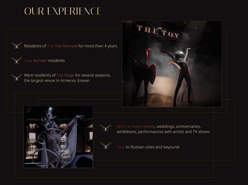 The show company website 3